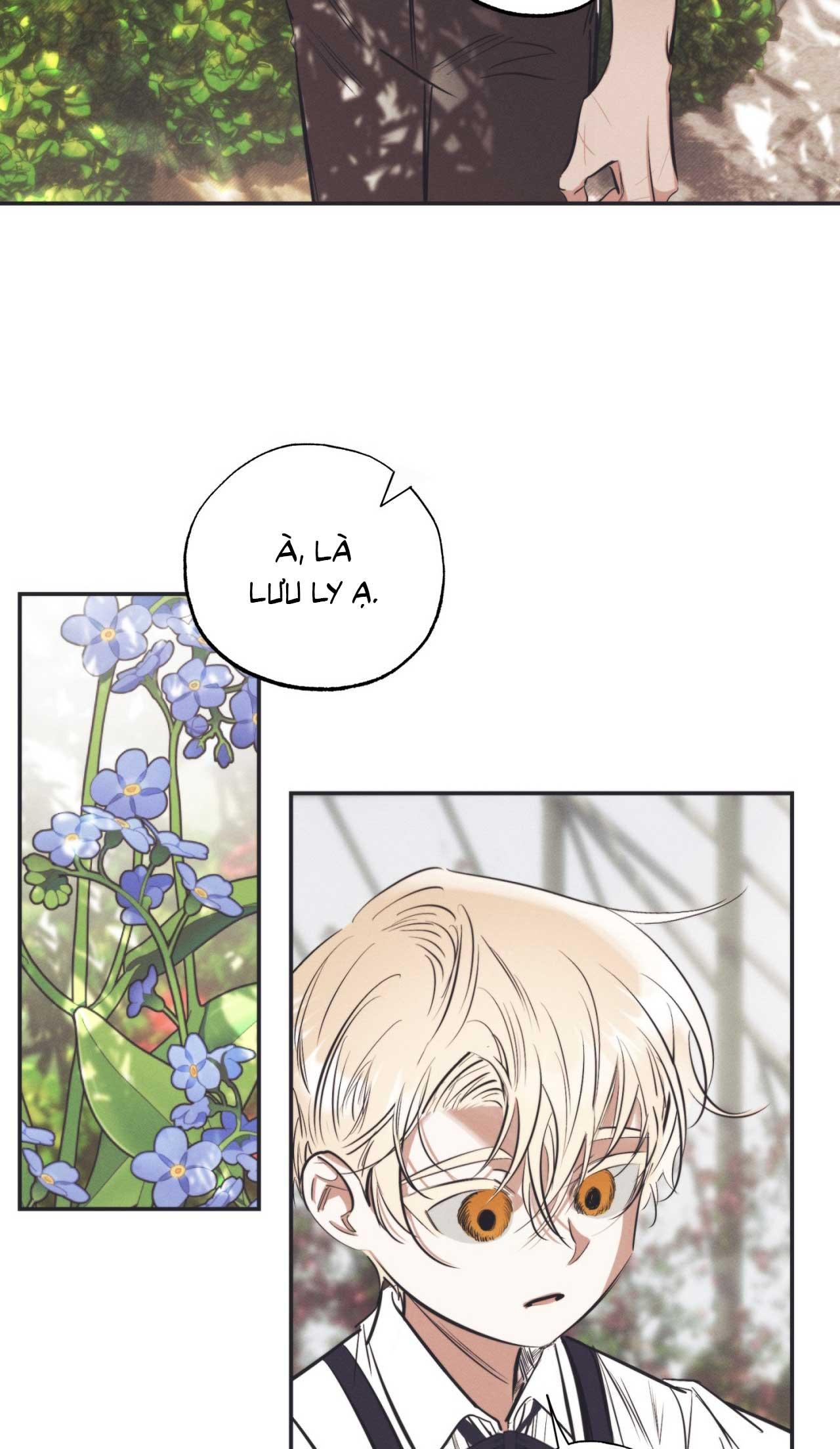 Đọc truyện KHU VƯỜN CỦA ESTHER - Chapter 1