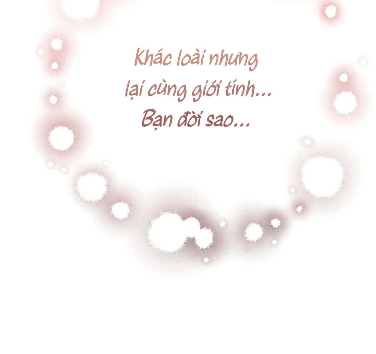 Đọc truyện Chuyện về bánh Hotteok - Chapter 9