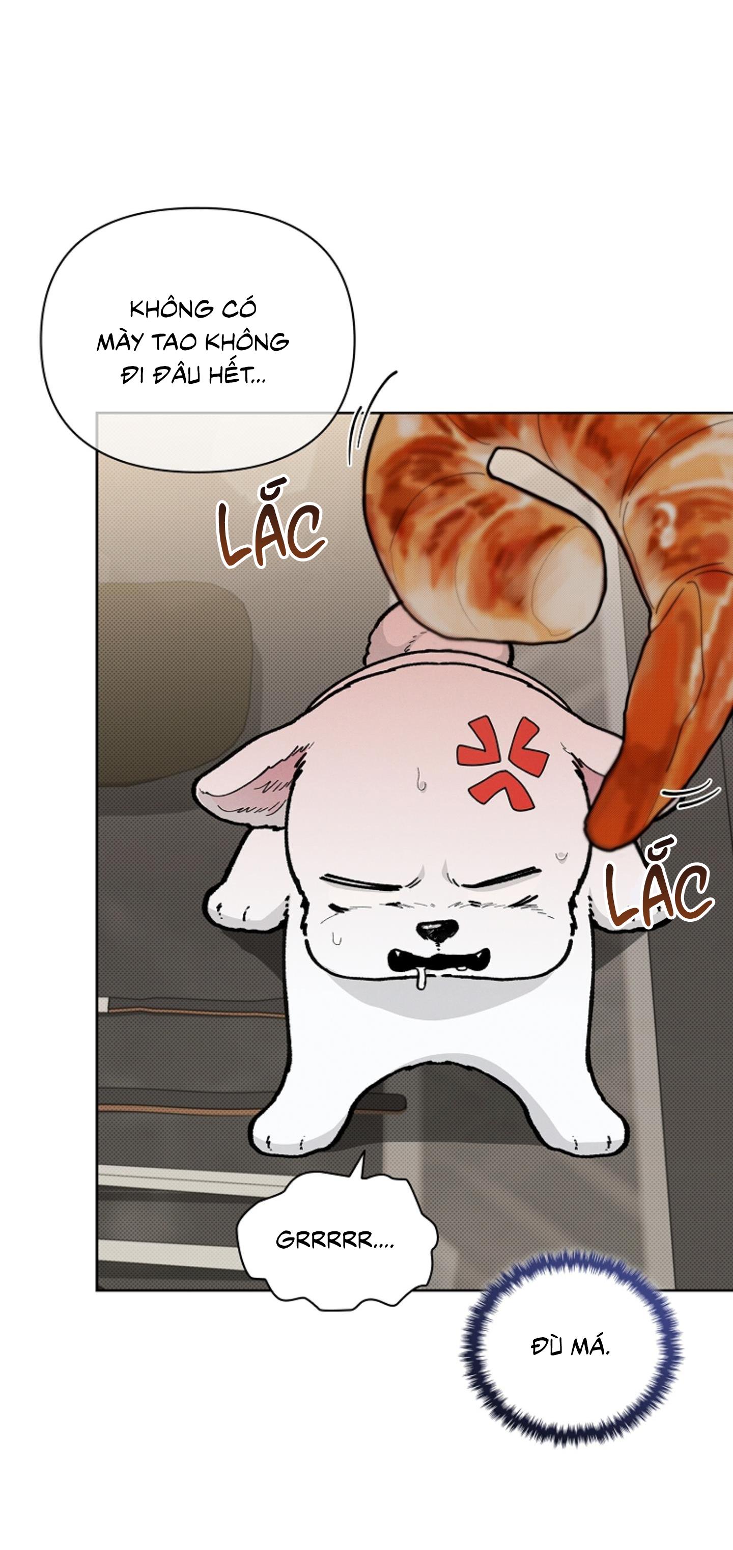 Đọc truyện ĐỪNG ĐỘNG VÀO CÚN CON! - Chapter 10