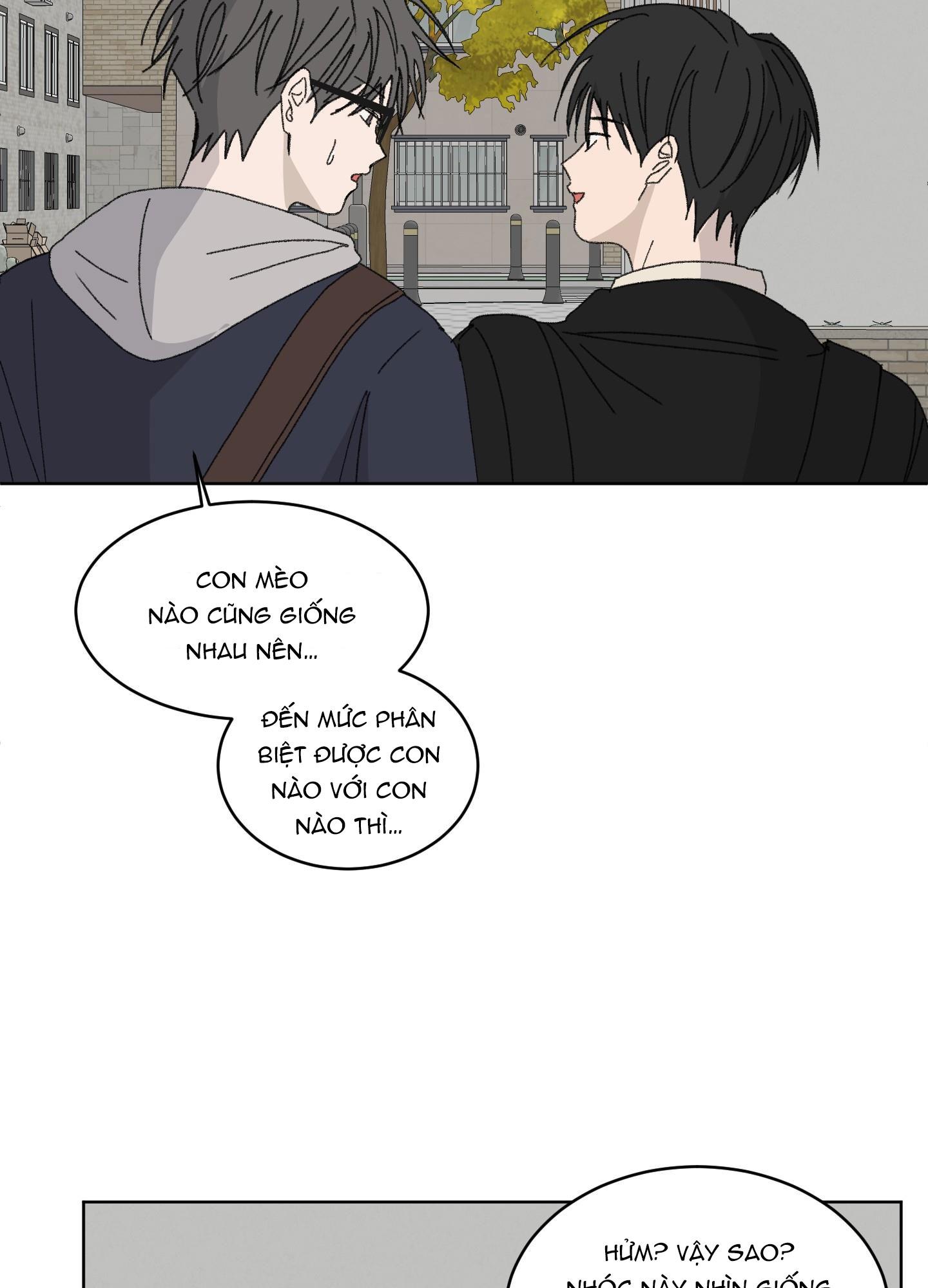Đọc truyện Missing Romance - Chapter 19