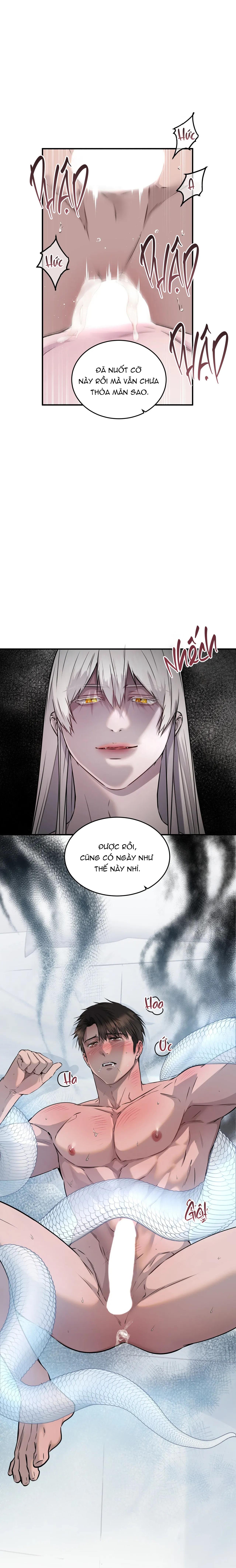Đọc truyện ÂN NHÂN CỦA RẮN - Chapter 12