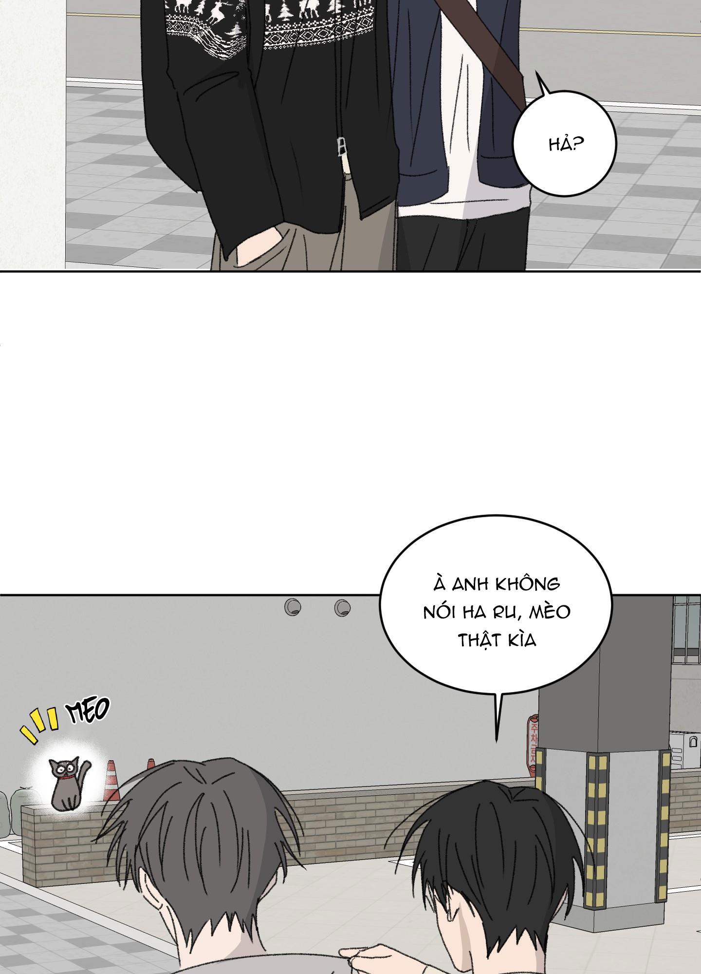 Đọc truyện Missing Romance - Chapter 19