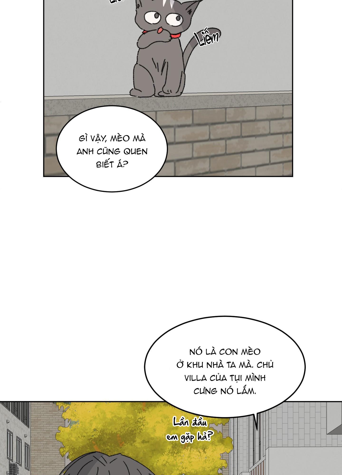 Đọc truyện Missing Romance - Chapter 19
