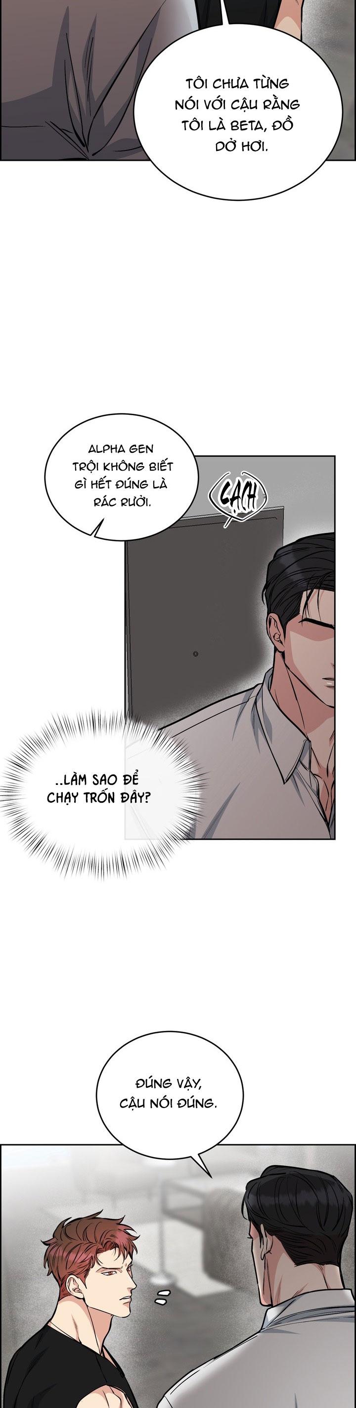 Đọc truyện CHÓ VÀ CHIM - Chapter 38