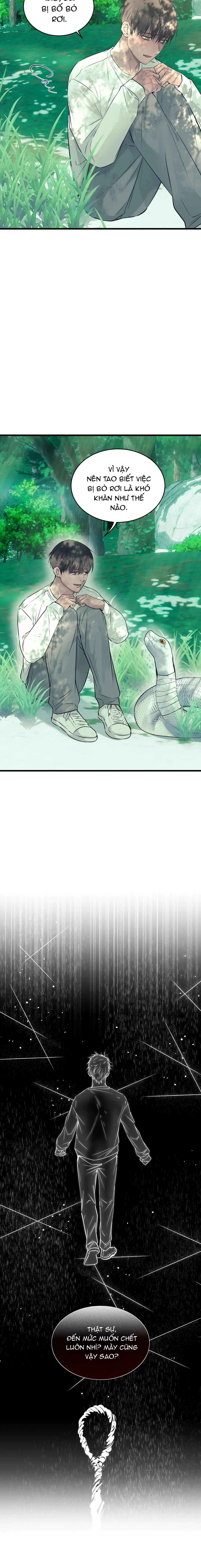 Đọc truyện ÂN NHÂN CỦA RẮN - Chapter 22