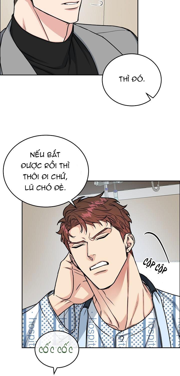 Đọc truyện CHÓ VÀ CHIM - Chapter 15