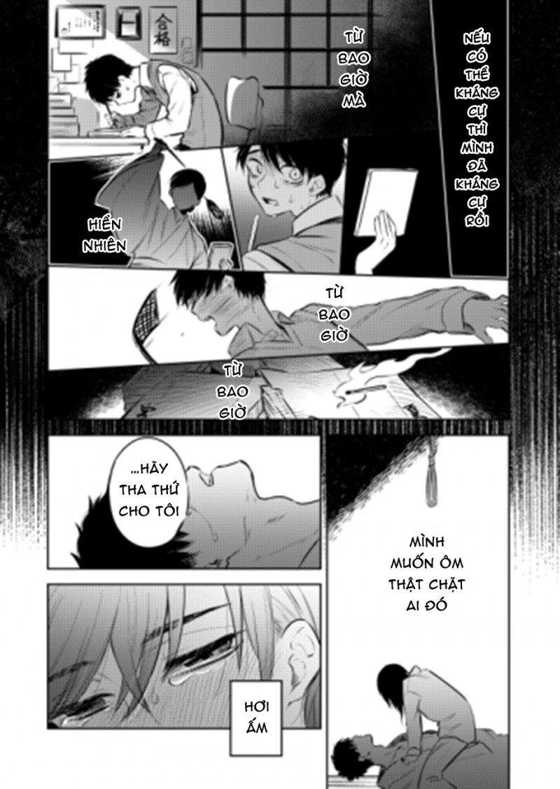 Đọc truyện Ngày Hoa Anh Đào Rơi - Chapter 0