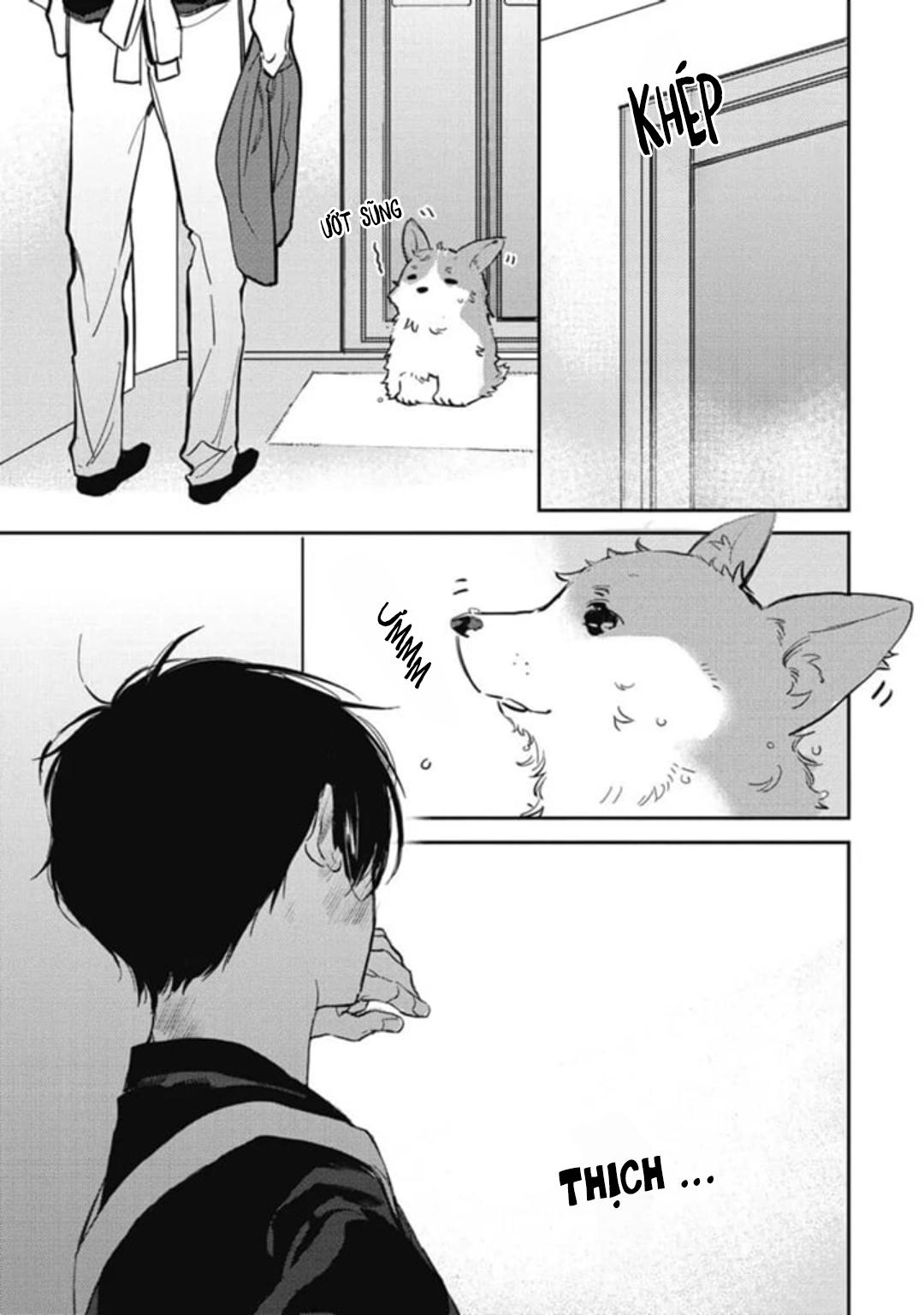 Đọc truyện Neighbor Sugar Boy - Chapter 3