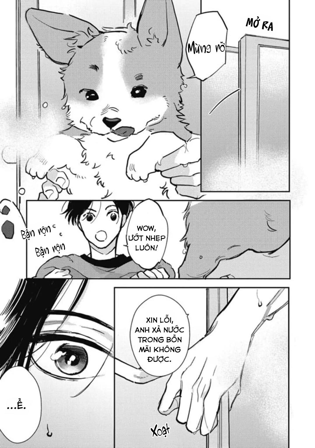 Đọc truyện Neighbor Sugar Boy - Chapter 3